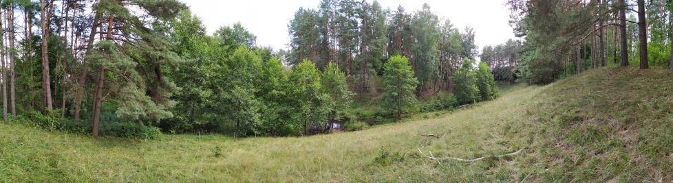 Działka siedliskowa Nowa Przerośl. Zdjęcie 5