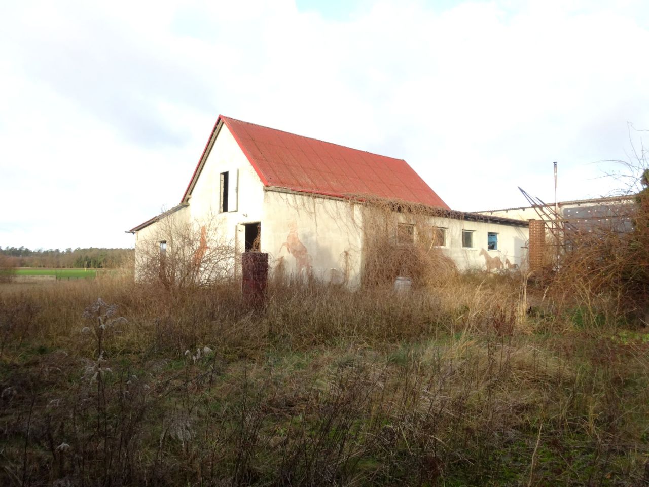 Działka rolno-budowlana Michorzewko