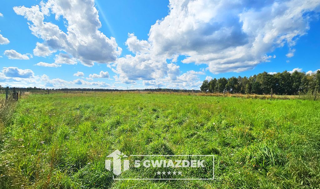 dom wolnostojący, 5 pokoi Wielawino. Zdjęcie 44