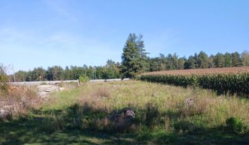 Działka inwestycyjna Jeziernia