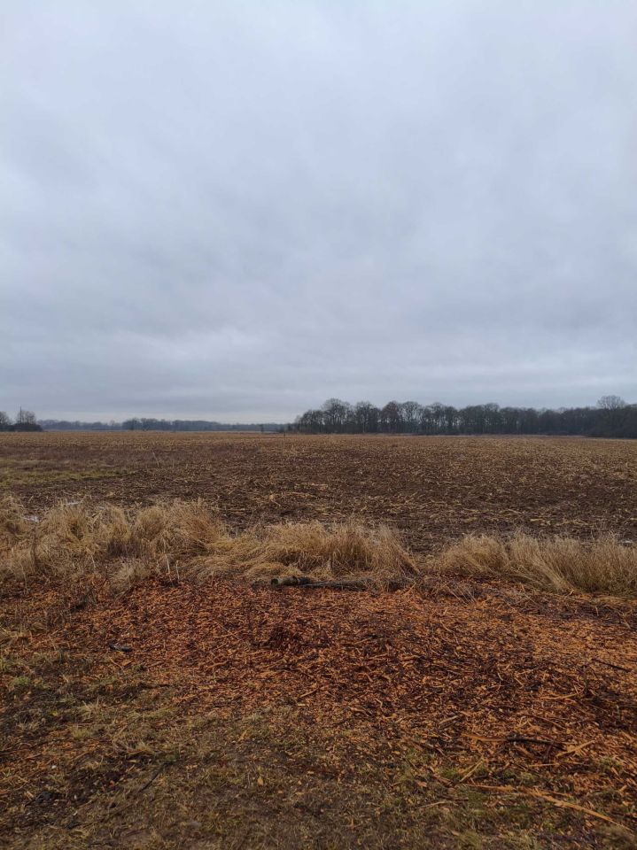 Działka budowlana Księginice. Zdjęcie 1