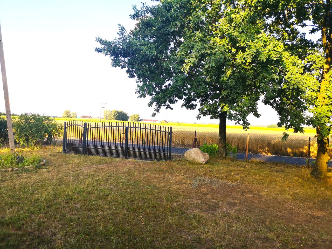 Działka siedliskowa Babiec-Wrzosy. Zdjęcie 7