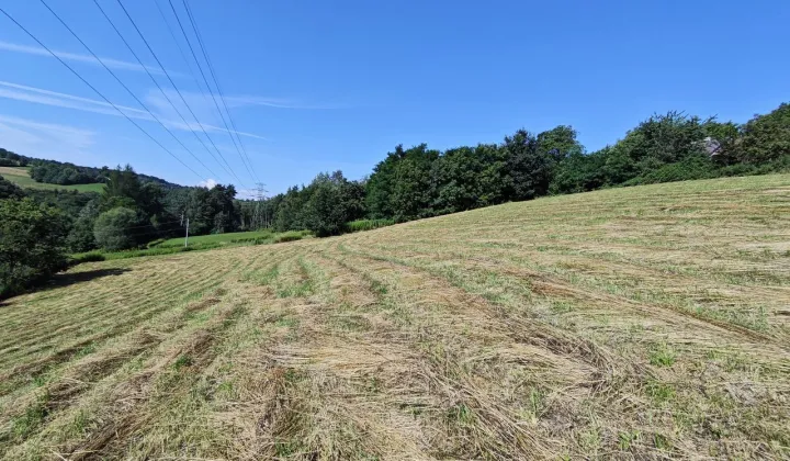 Działka rolna Janowice