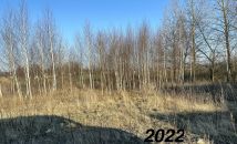 Działka budowlana Lubawa Lipy, ul. Kupnera. Zdjęcie 3