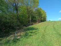 Działka rekreacyjna Wujskie. Zdjęcie 1