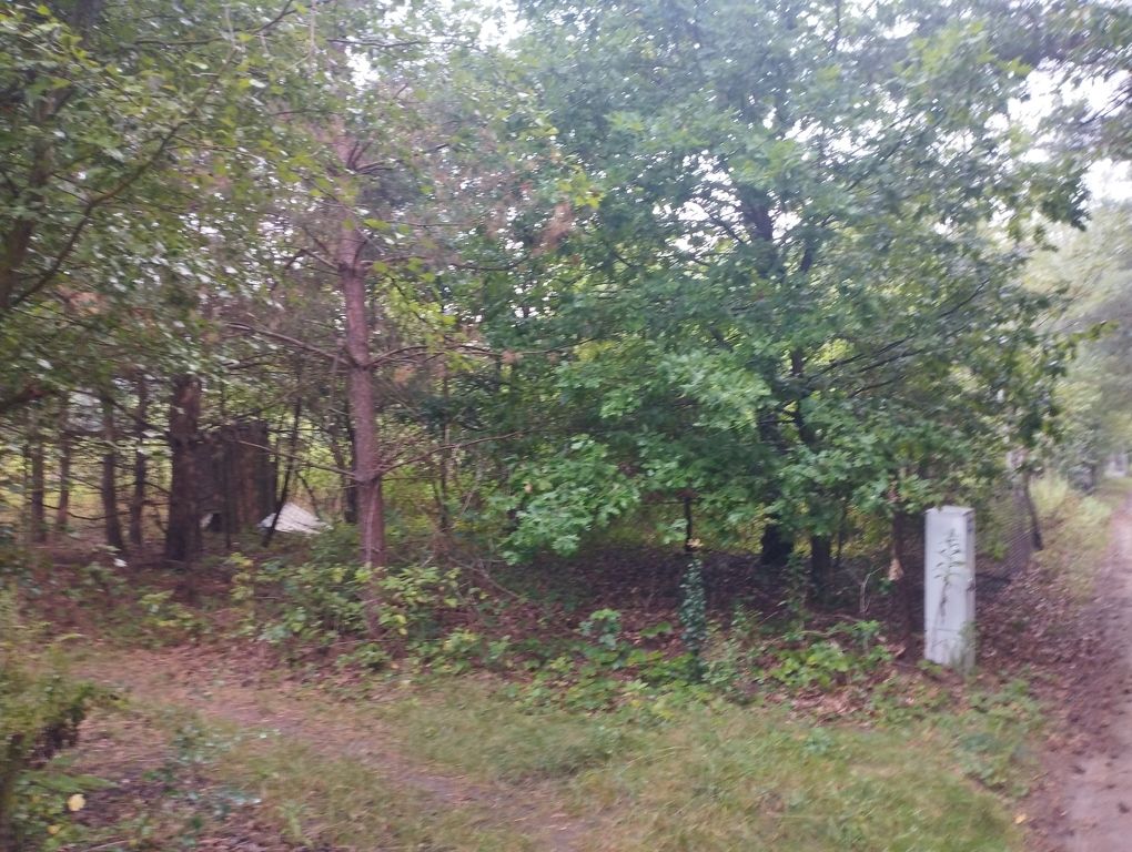 Działka budowlana Mieszkowo