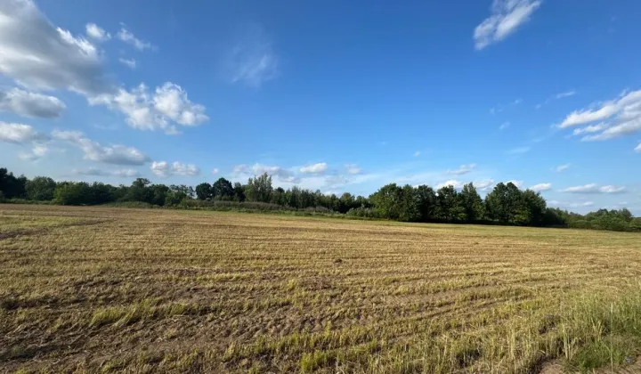 Działka budowlana Rżyska