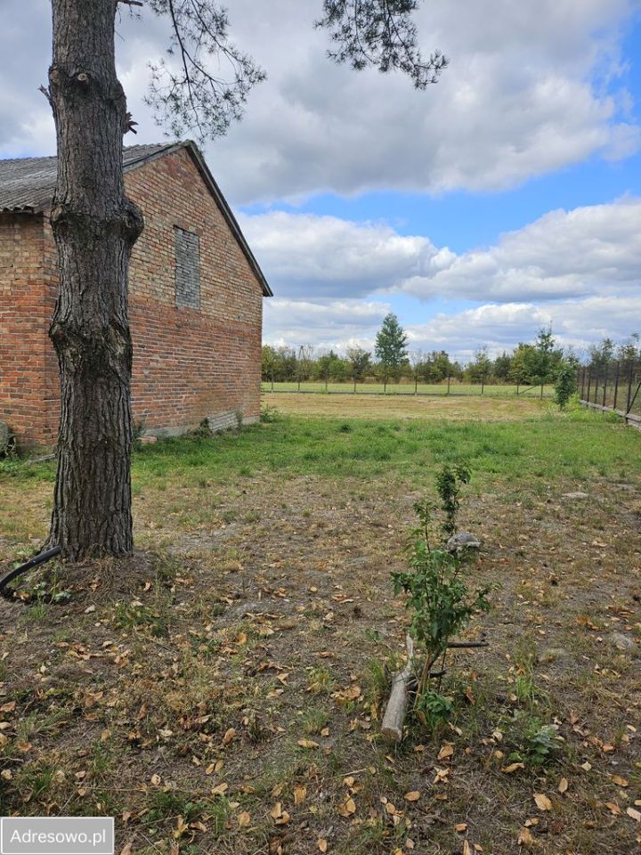 Działka rolno-budowlana Dobrzyniec. Zdjęcie 11