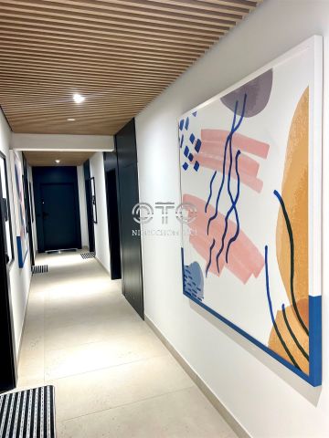 Mieszkanie 2-pokojowe Wrocław Śródmieście, ogród Botaniczny. Zdjęcie 14