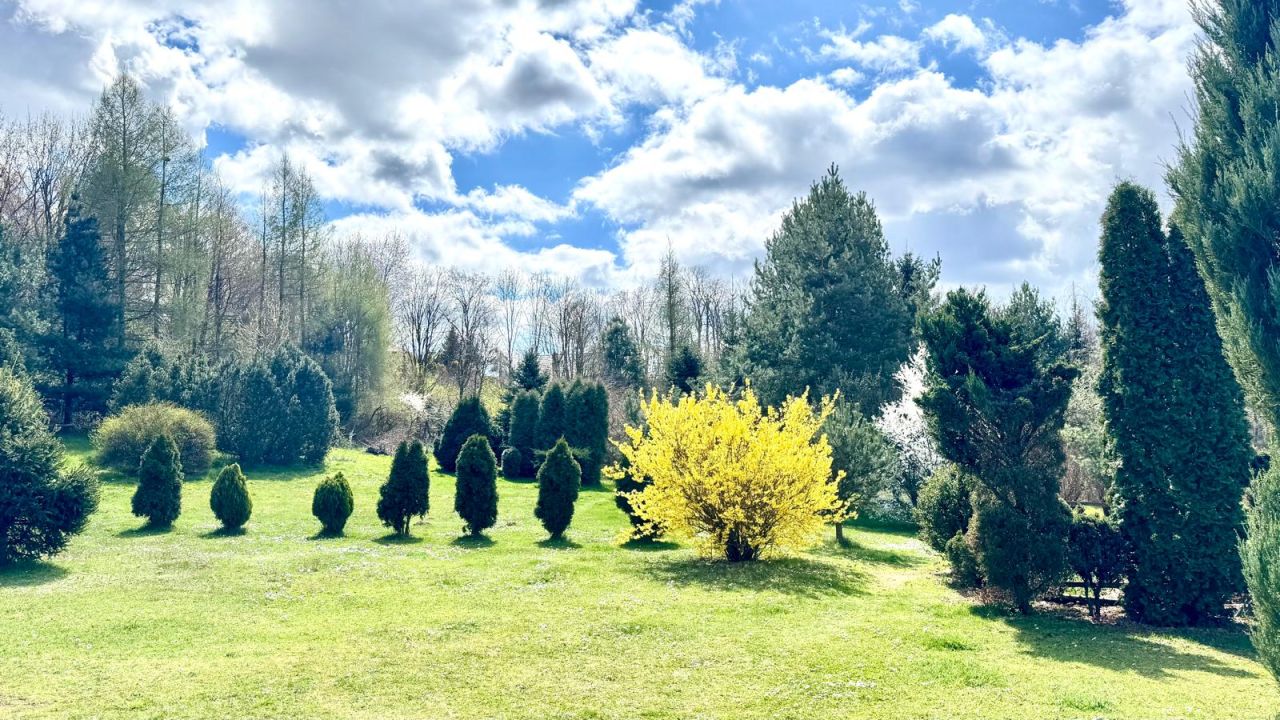 dom wolnostojący, 5 pokoi Wiśniowa. Zdjęcie 17