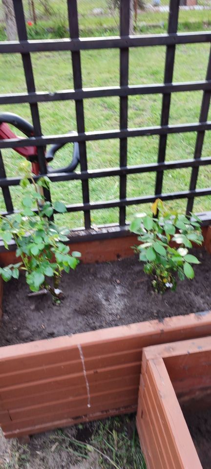 Działka rod Witkowo. Zdjęcie 5