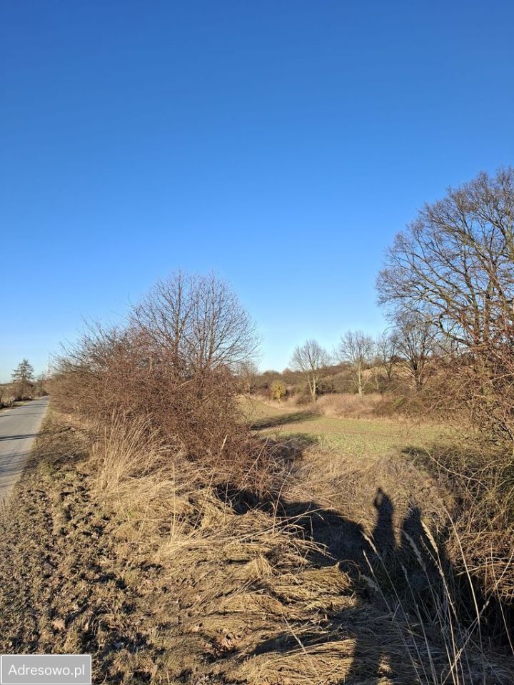 Działka siedliskowa Będkowo. Zdjęcie 5