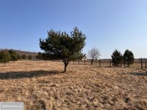 Działka rekreacyjna Dołgie. Zdjęcie 1