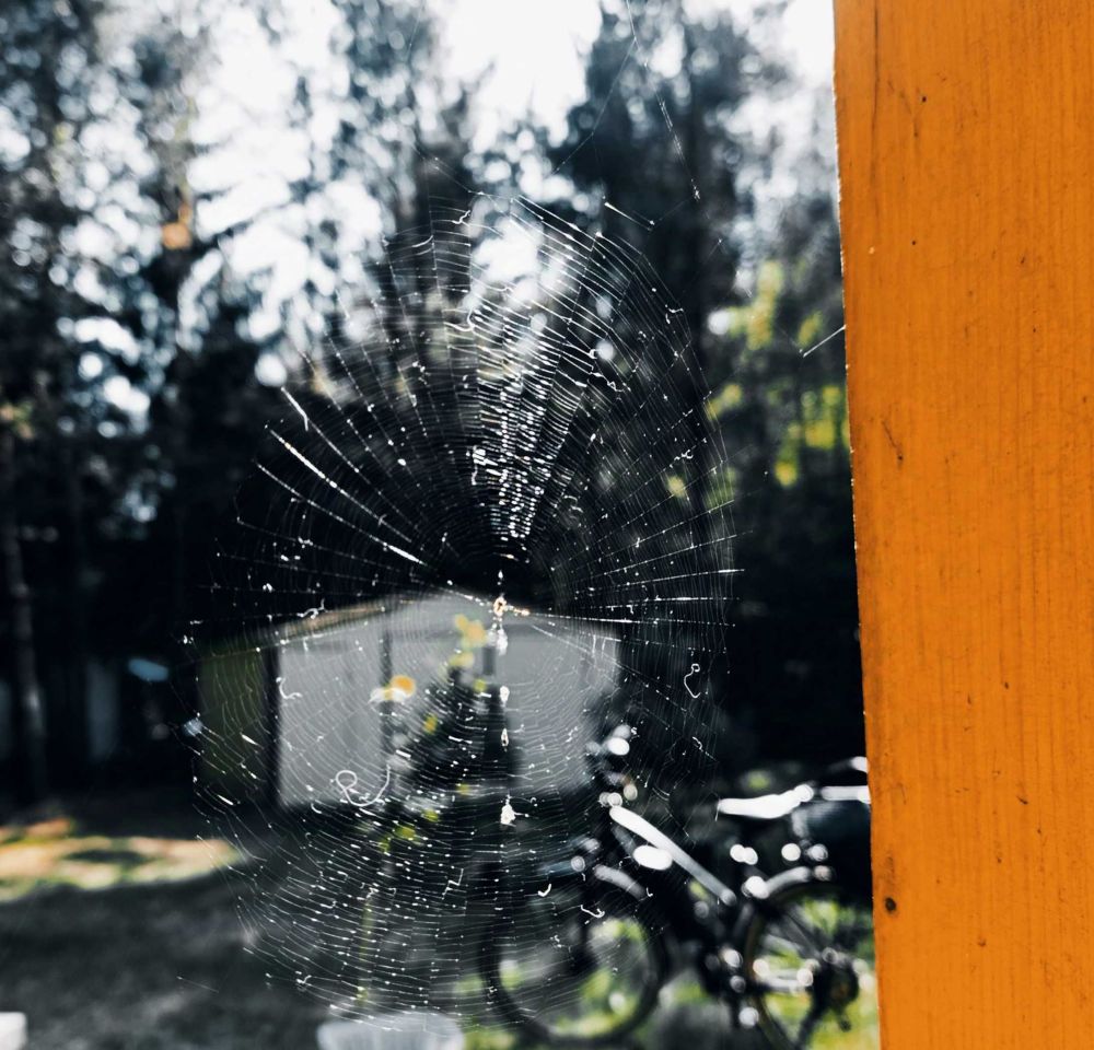 Działka rekreacyjna Cyganówka. Zdjęcie 7