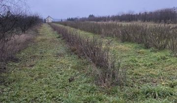 Działka rolna Olsza