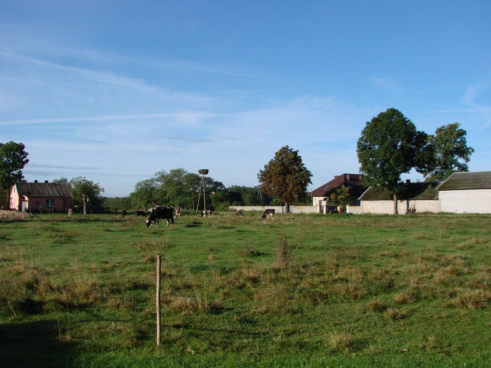 Działka siedliskowa Gutkowo Gutkowo-Fije. Zdjęcie 5