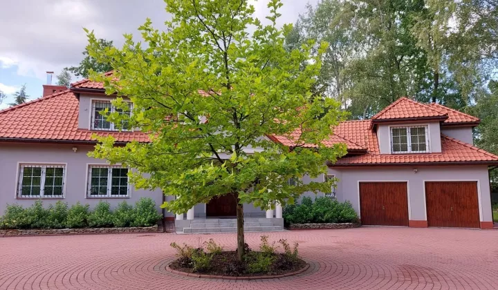 dom wolnostojący, 7 pokoi Halinów