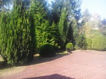 dom wolnostojący, 8 pokoi Grzybowo, ul. Nadmorska. Zdjęcie 3