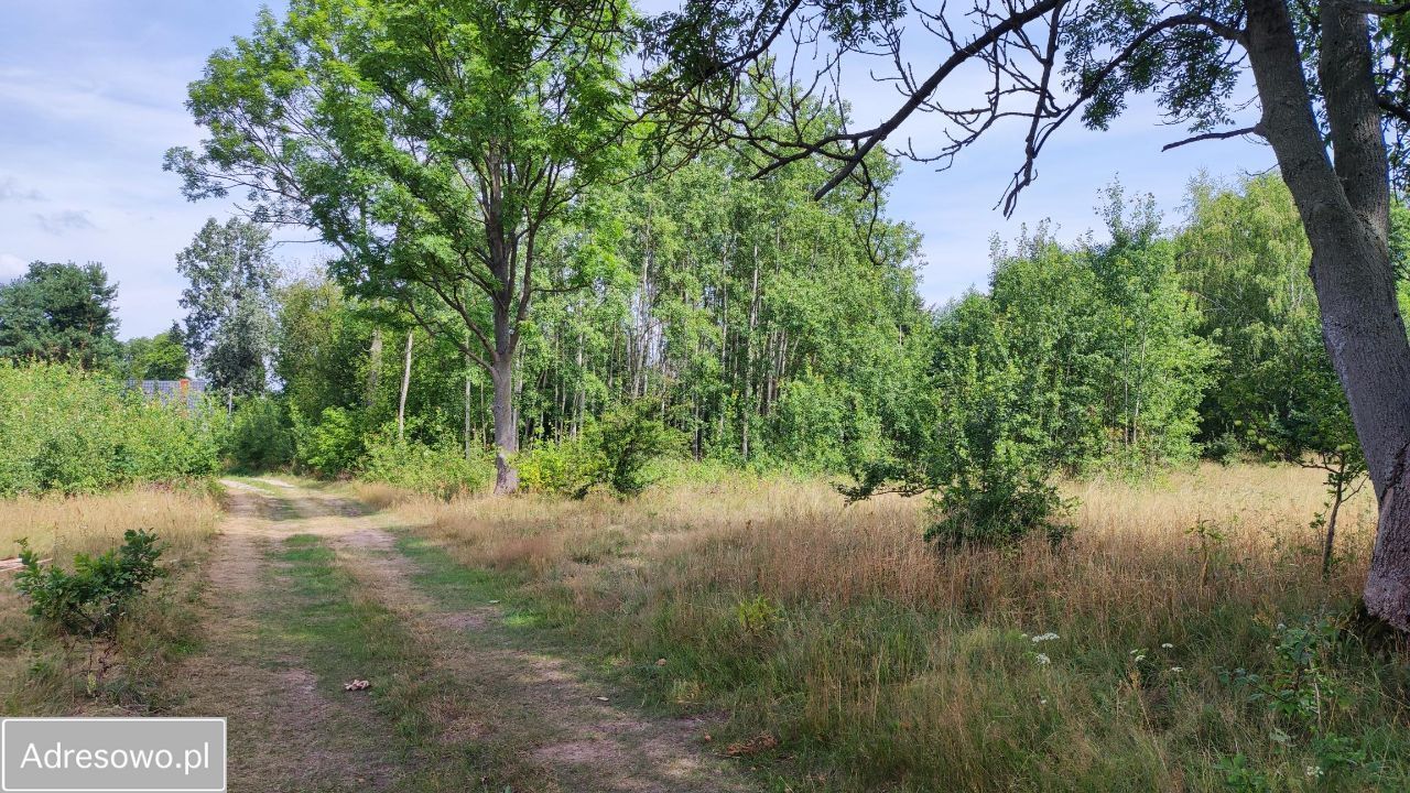Działka rolna Secymin Polski. Zdjęcie 9