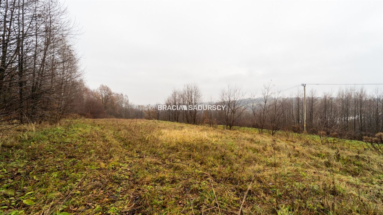 Działka rolno-budowlana Podstolice. Zdjęcie 14