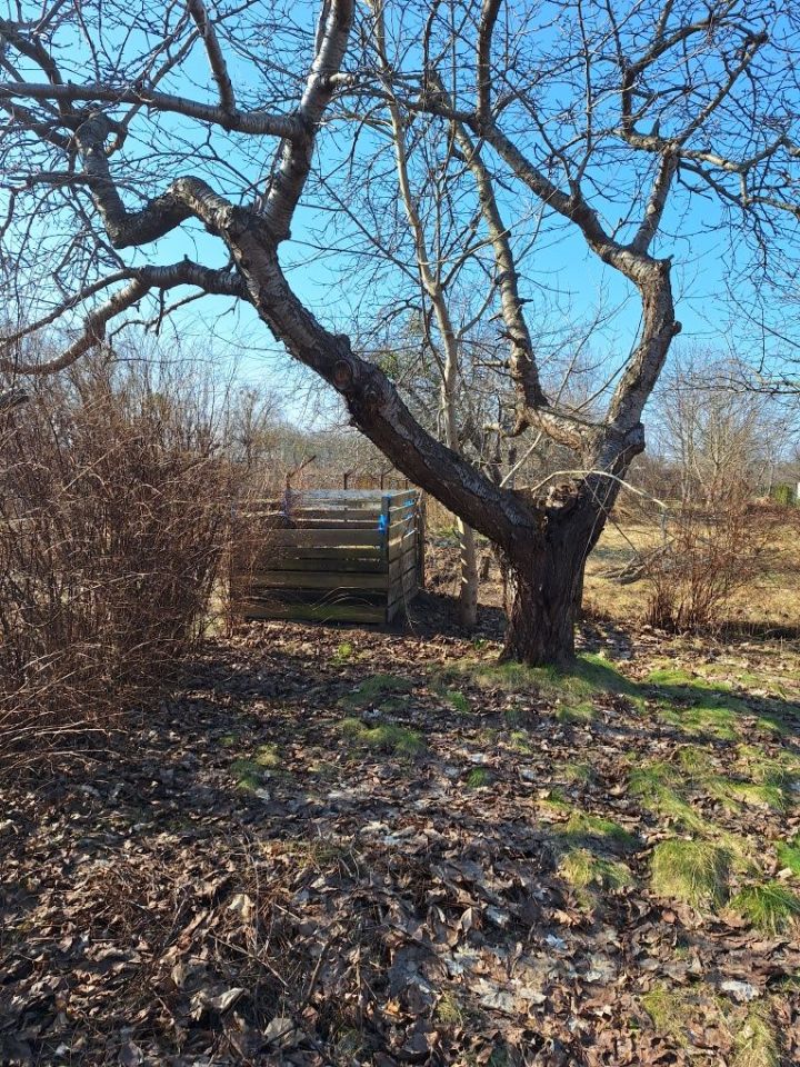 Działka rod Słupsk, ul. Bohaterów Westerplatte. Zdjęcie 6