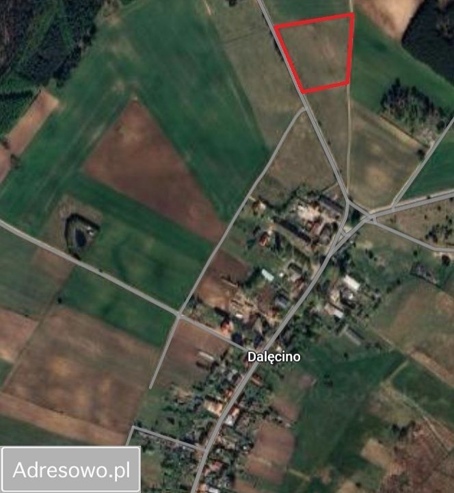 Działka budowlana Dalęcino