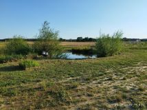 Działka rolna Zbaków Górny