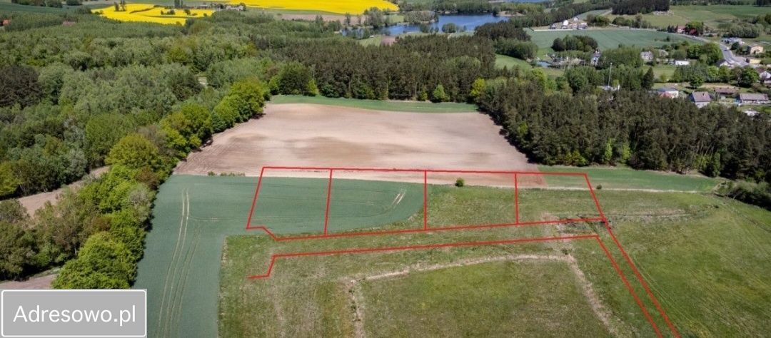 Działka budowlana Trzcińsk. Zdjęcie 5