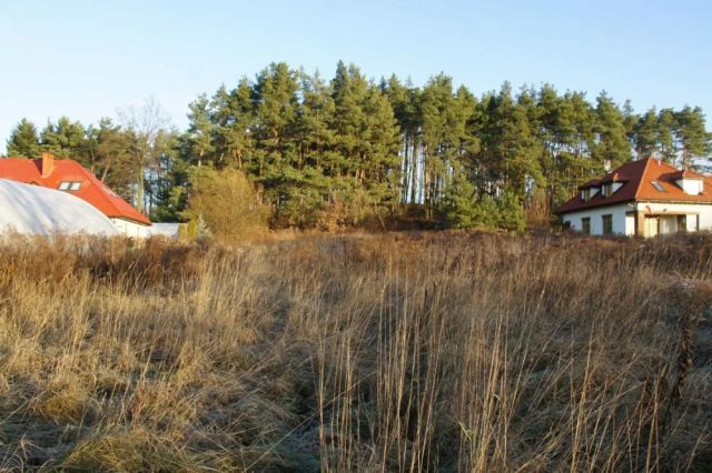 Działka budowlana Gronowo Górne. Zdjęcie 6