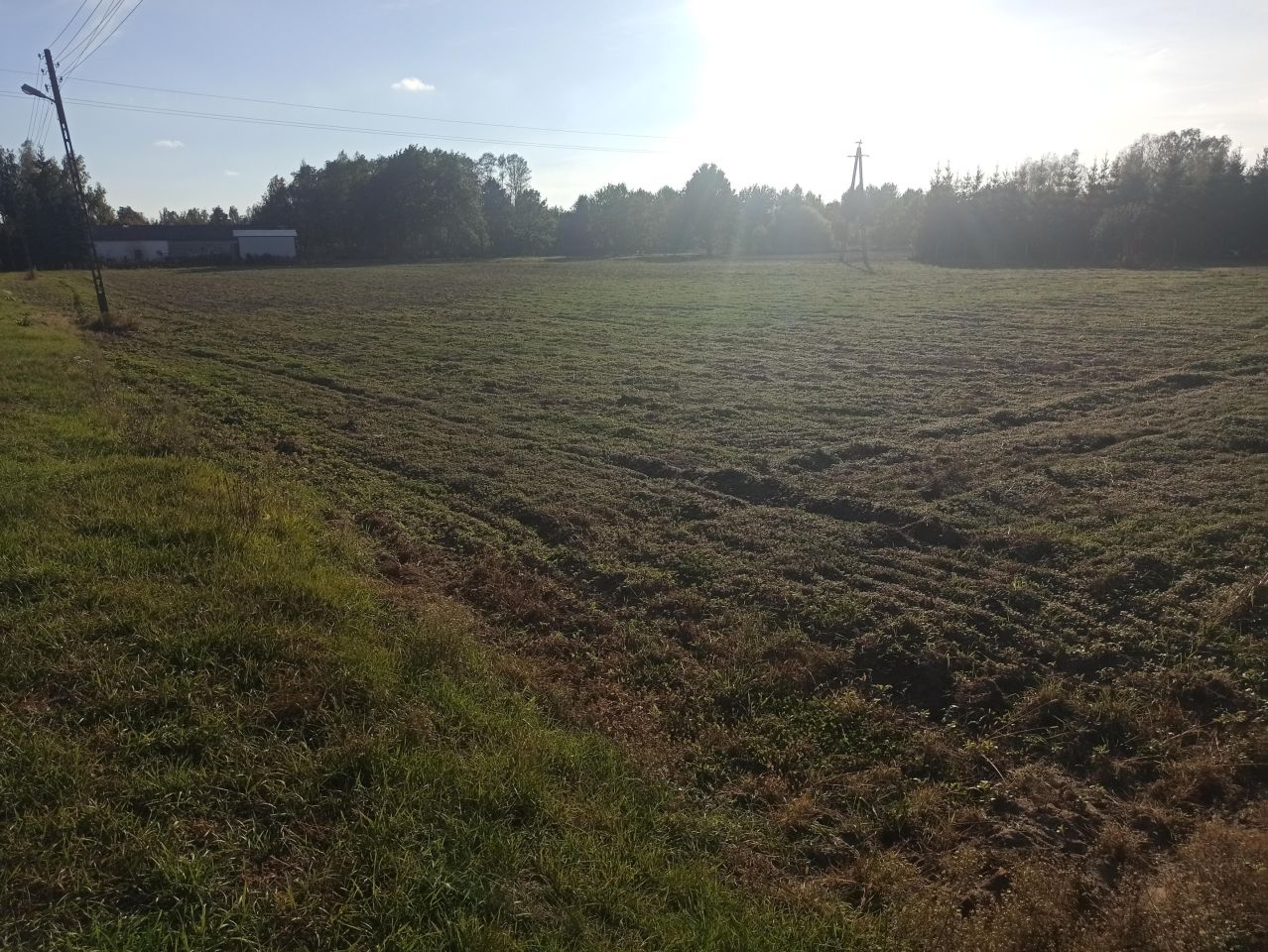 Działka budowlana Grochowa, ul. Zbigniewa Pawlaka. Zdjęcie 3