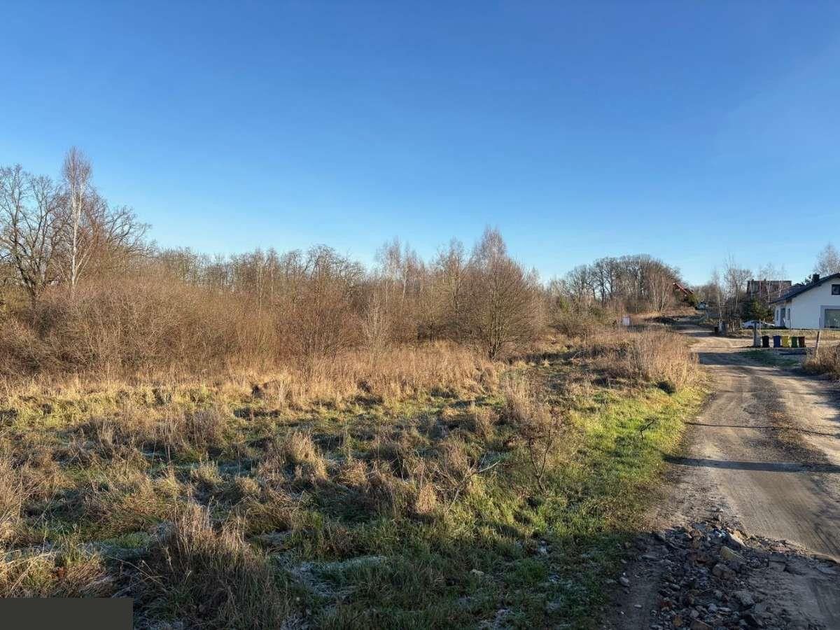 Działka budowlana Lubsko, ul. Jarzębinowa. Zdjęcie 13