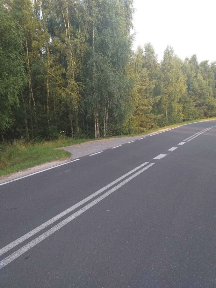 Działka rolno-budowlana Promna-Kolonia. Zdjęcie 2