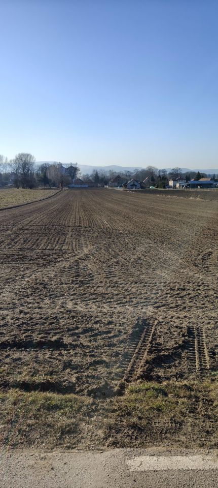 Działka budowlana Uciechów, ul. Leśna. Zdjęcie 3