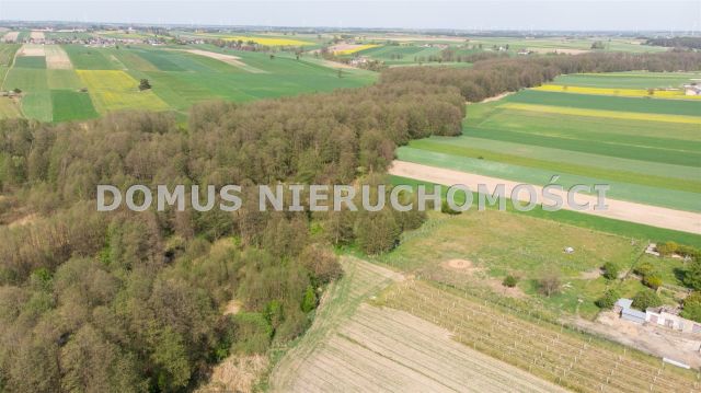 Działka siedliskowa Lubiska. Zdjęcie 15