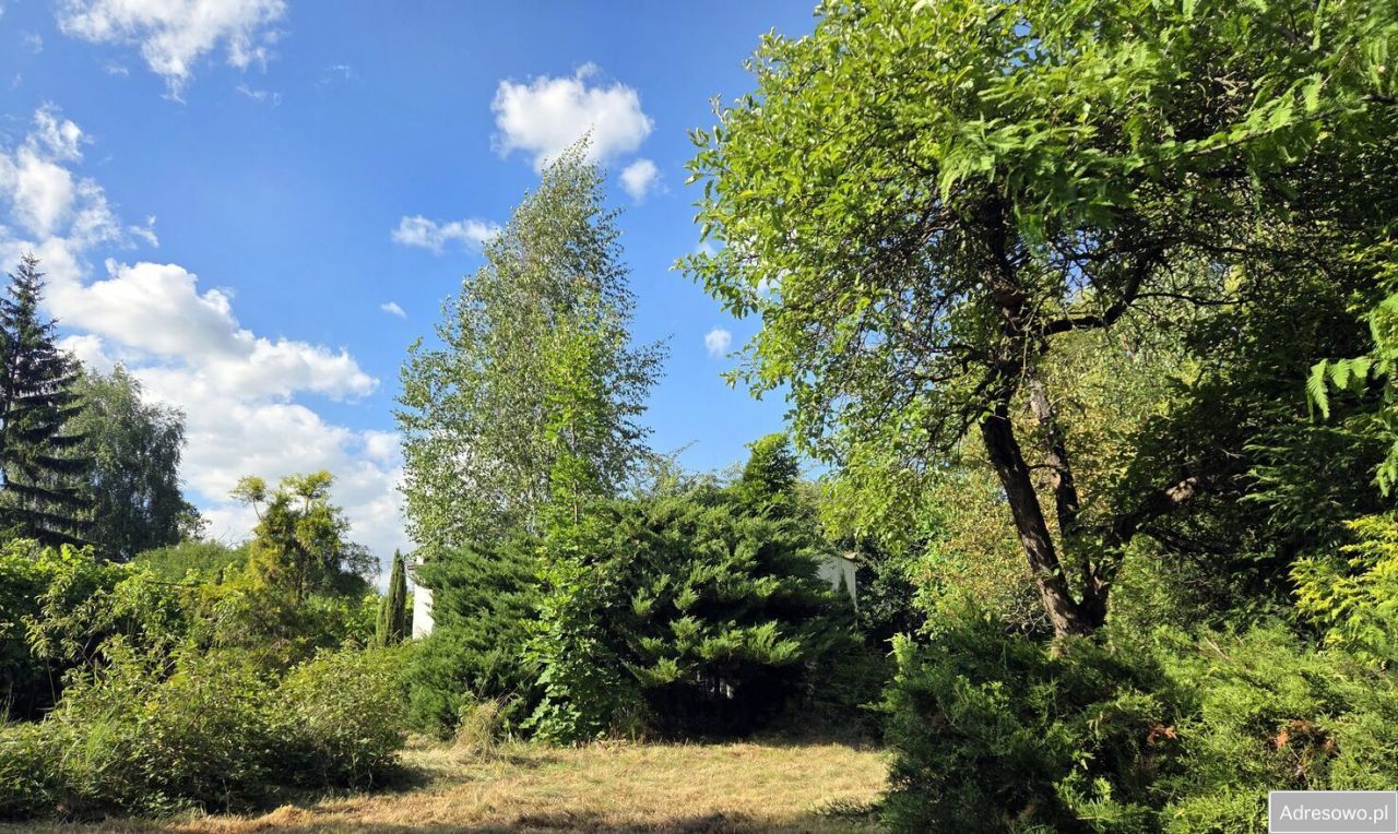 Działka rod Wrocław Wojnów, ul. Ubocze. Zdjęcie 7