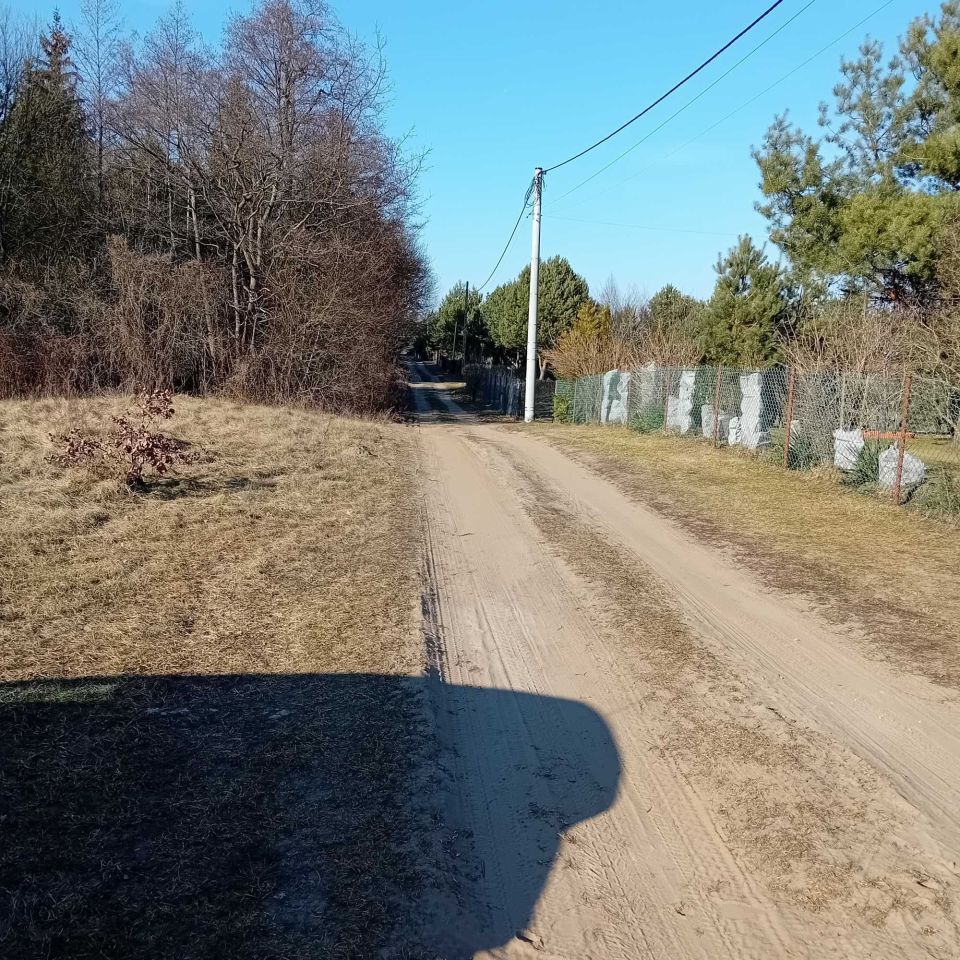 Działka Zambski Kościelne. Zdjęcie 5