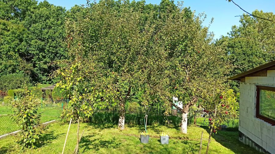 Działka rod Straszyn, ul. inż. A. Hoffmanna. Zdjęcie 14