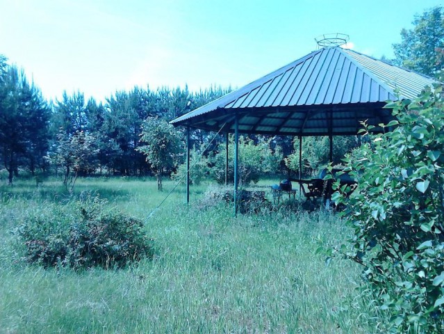 Działka rolna Borsukówka. Zdjęcie 1