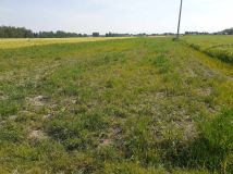 Działka budowlana Lubaczów, ul. Żuki. Zdjęcie 3