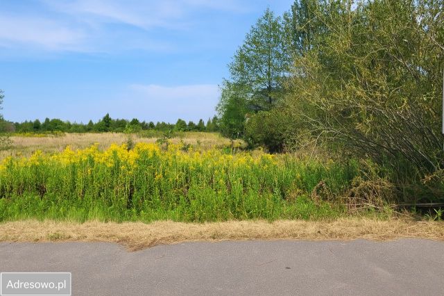 Działka budowlana Izabelin-Dziekanówek. Zdjęcie 1