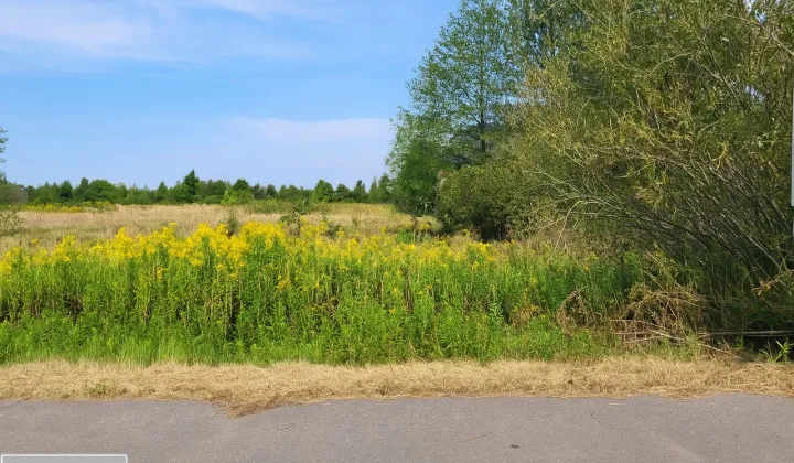 Działka budowlana Izabelin-Dziekanówek