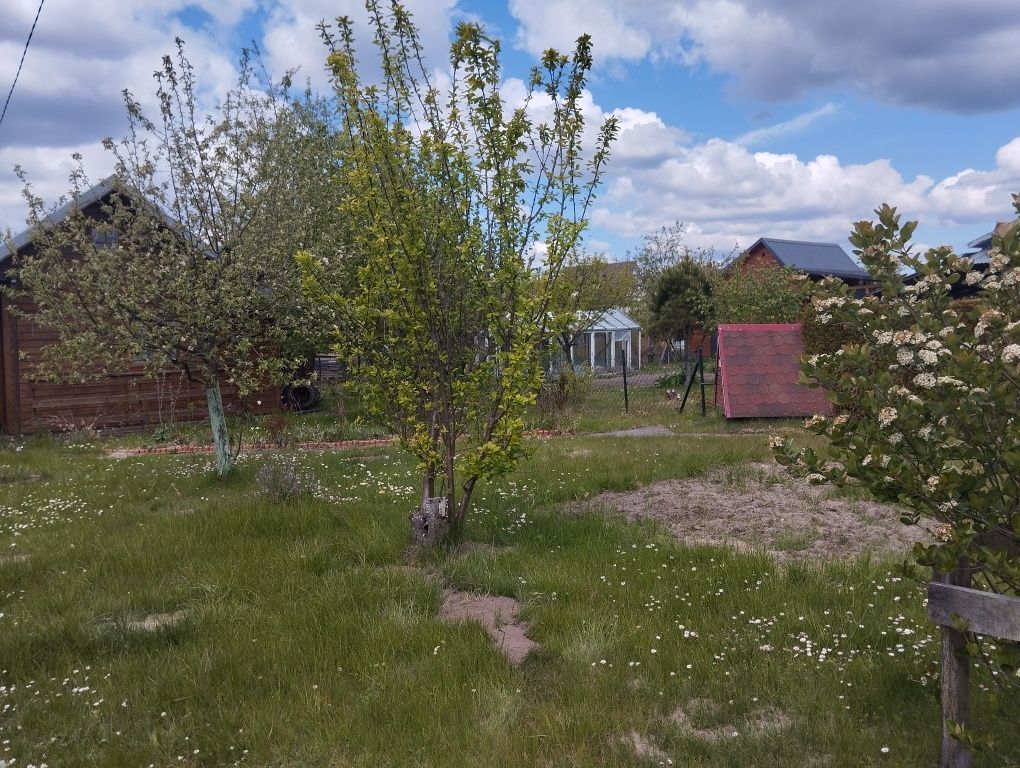 Działka rod Gródek. Zdjęcie 6