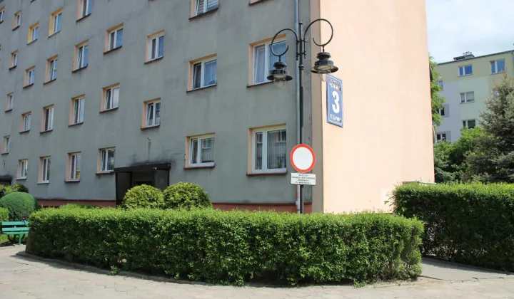 Mieszkanie 2-pokojowe Malbork, pl. Gabriela Narutowicza