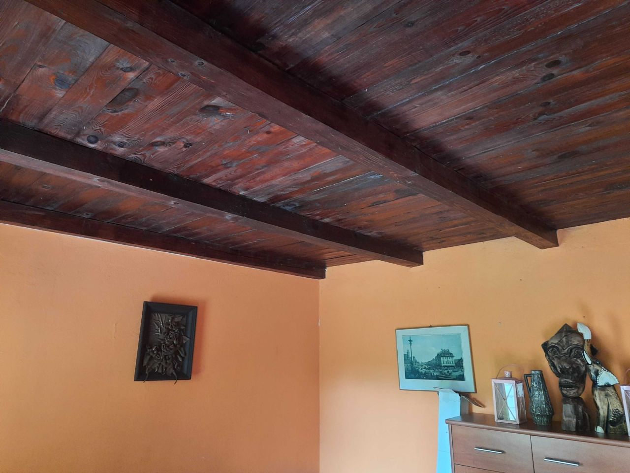 Działka rod Włocławek. Zdjęcie 4
