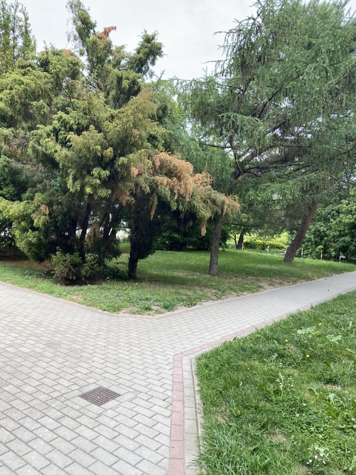 Mieszkanie 2-pokojowe Warszawa Ochota, ul. Pruszkowska. Zdjęcie 12