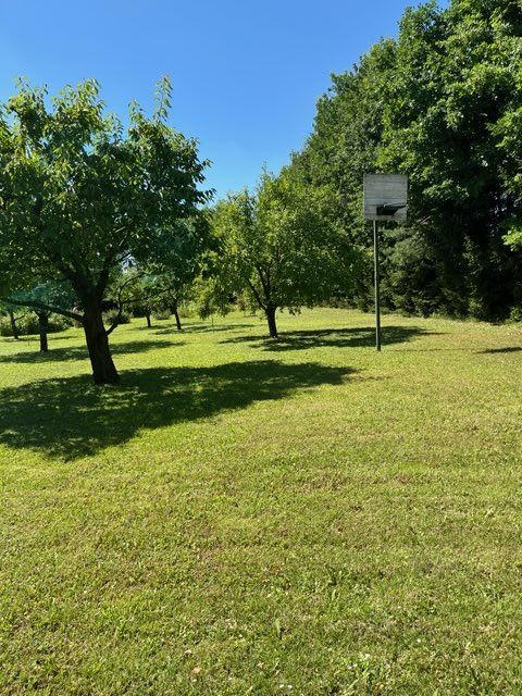 Działka rolno-budowlana Brzozów-Kolonia. Zdjęcie 4