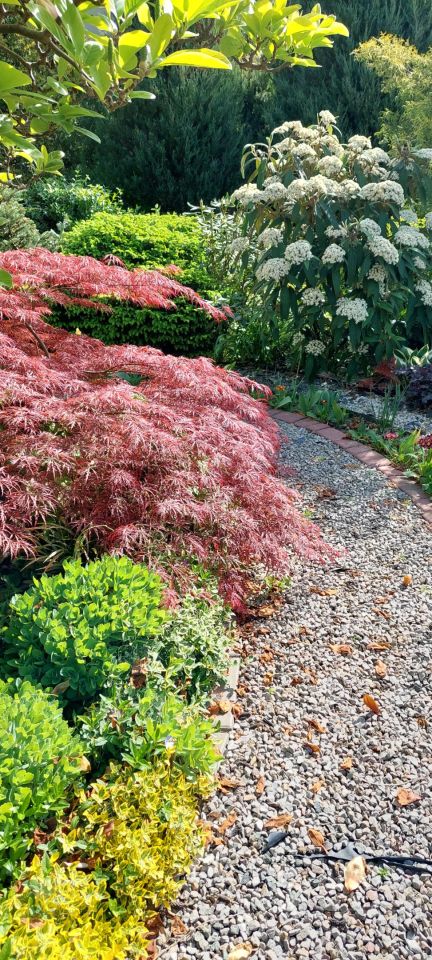 dom wolnostojący, 5 pokoi Michów, ul. Zasadnia. Zdjęcie 8