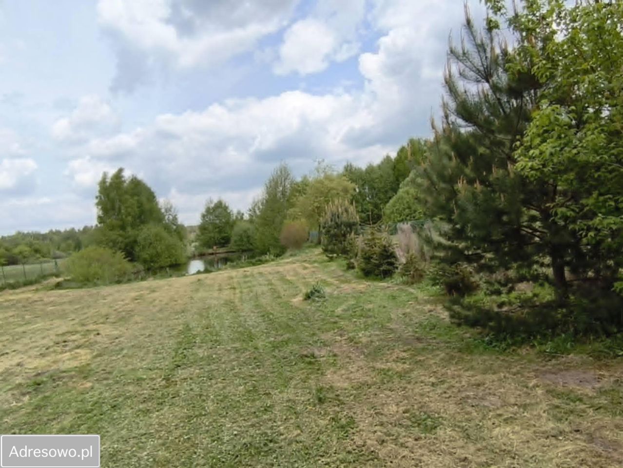 Działka rolno-budowlana Zalesiczki. Zdjęcie 7
