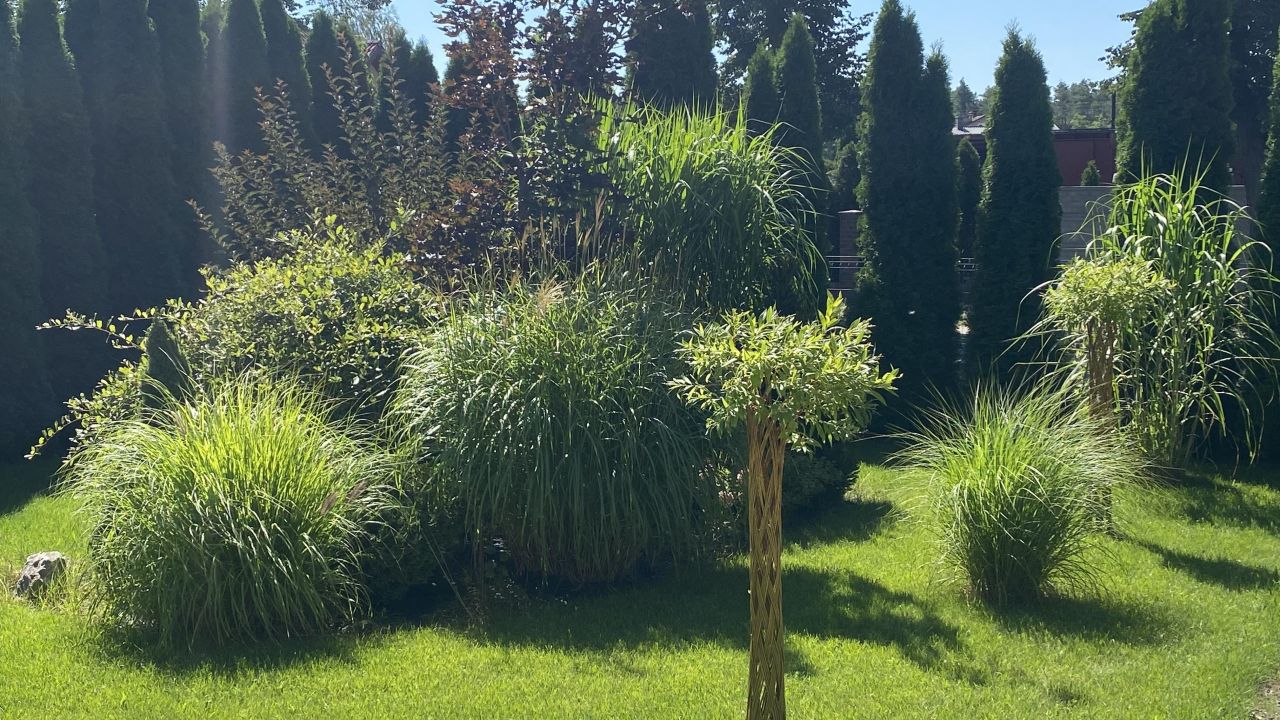 dom wolnostojący, 6 pokoi Chocianów, ul. Szprotawska. Zdjęcie 39