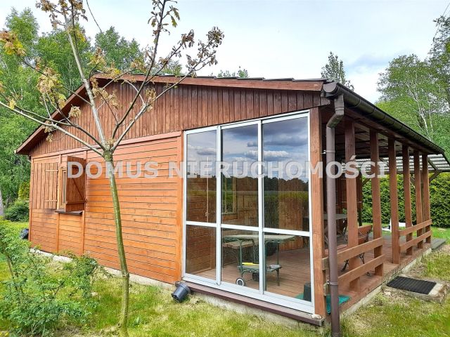 Działka rolna Królewo. Zdjęcie 5